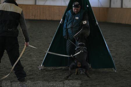 Training in Finland 1/2007