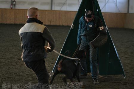 Training in Finland 1/2007