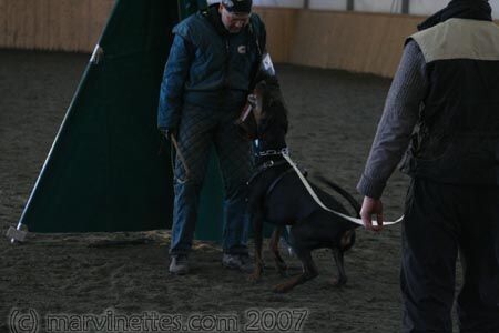 Training in Finland 1/2007