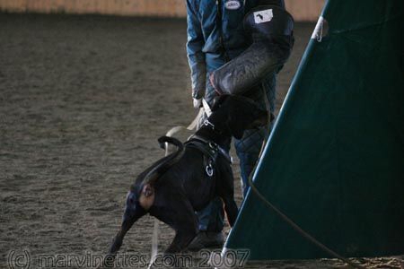 Training in Finland 1/2007