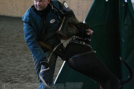 Training in Finland 1/2007