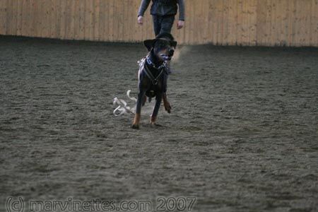 Training in Finland 1/2007