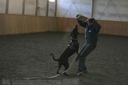 Training in Finland 1/2007