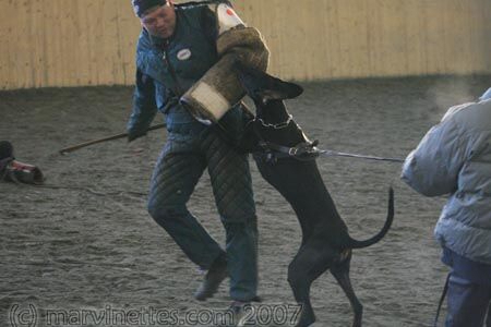 Training in Finland 1/2007