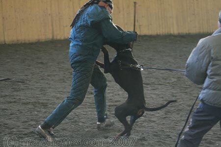 Training in Finland 1/2007