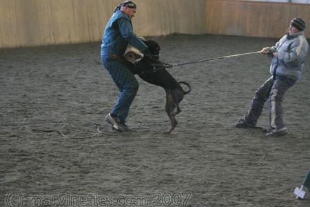 Training in Finland 1/2007