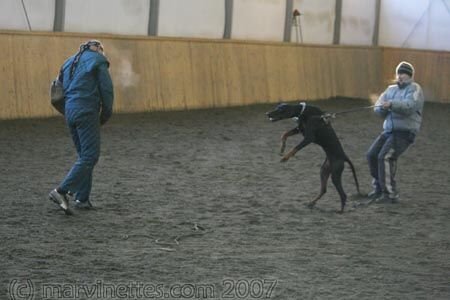 Training in Finland 1/2007