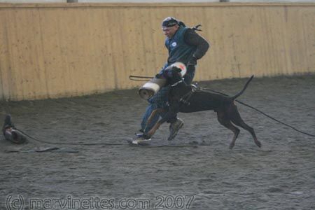 Training in Finland 1/2007