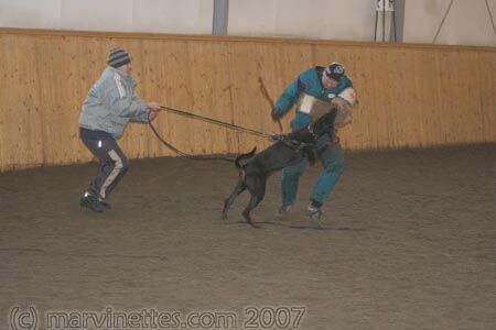 Training in Finland 1/2007