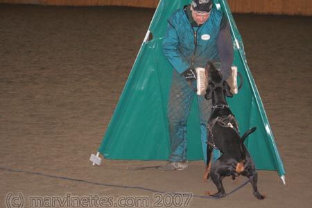 Training in Finland 1/2007