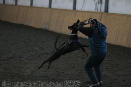 Training in Finland 1/2007