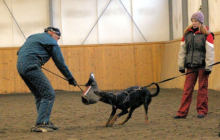 Training in Finland 1/2007