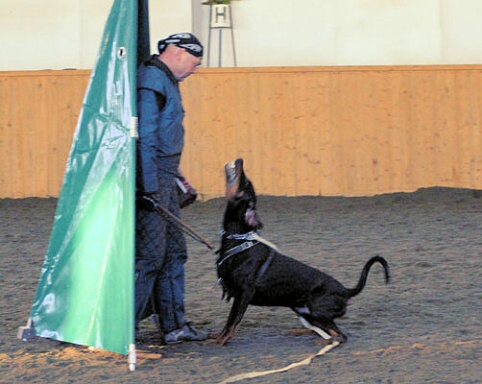 Training in Finland 1/2007