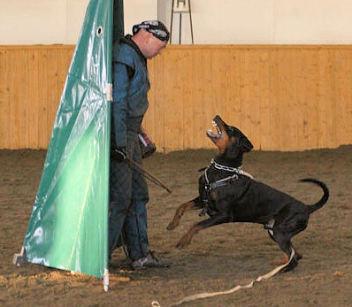 Training in Finland 1/2007