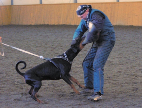 Training in Finland 1/2007