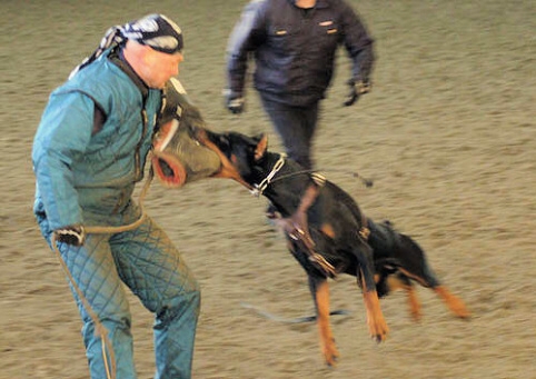 Training in Finland 1/2007