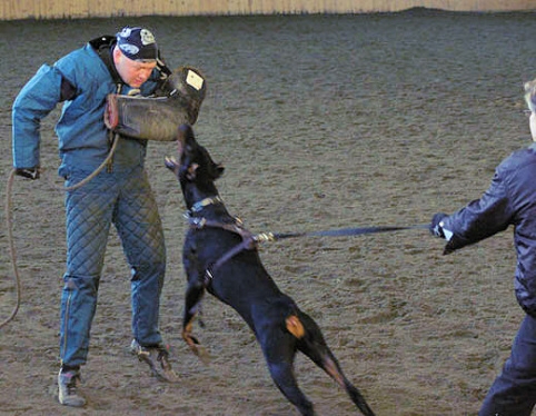 Training in Finland 1/2007