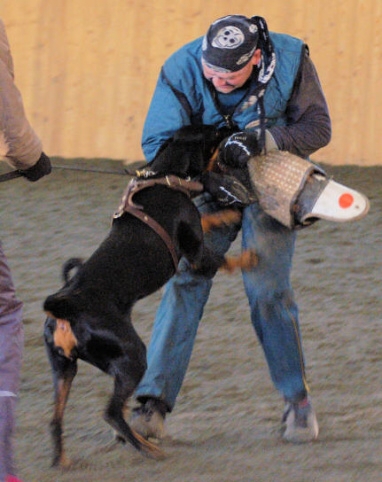 Training in Finland 1/2007