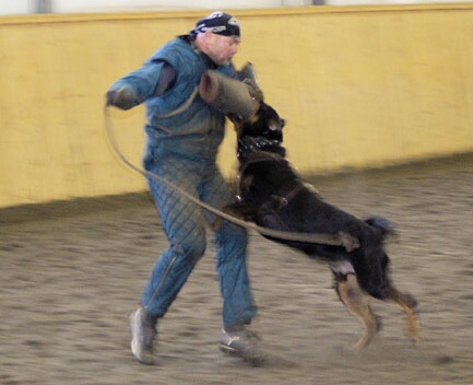 Training in Finland 1/2007