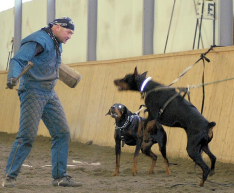 Training in Finland 1/2007