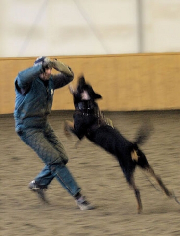 Training in Finland 1/2007