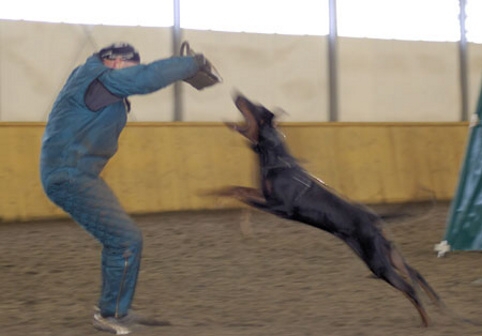 Training in Finland 1/2007