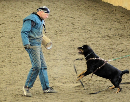 Training in Finland 1/2007