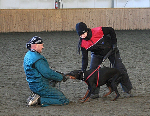 Training in Finland 1/2007