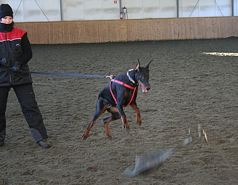 Training in Finland 1/2007