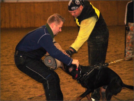 Training in Finland 1/2008