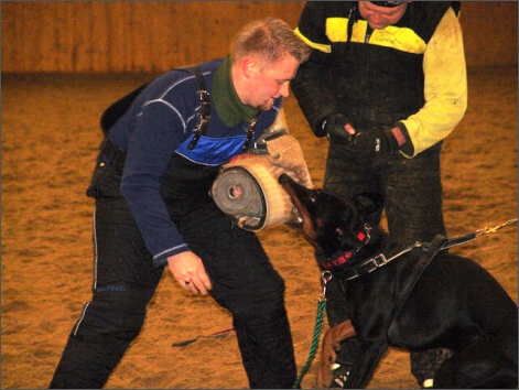 Training in Finland 1/2008