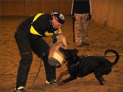 Training in Finland 1/2008