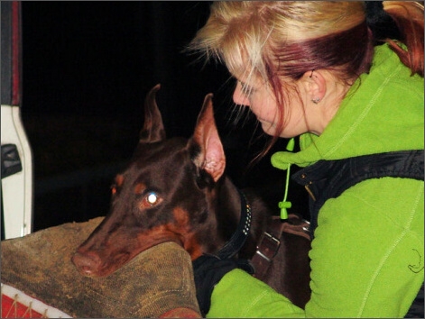 Training in Finland 1/2008