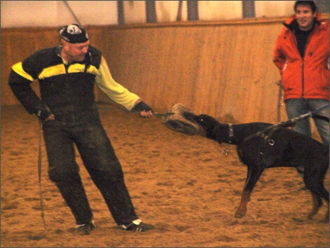 Training in Finland 1/2008