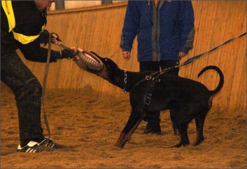 Training in Finland 1/2008