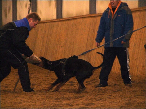 Training in Finland 1/2008