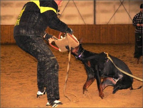 Training in Finland 1/2008