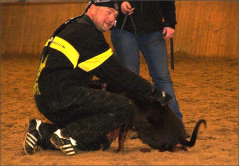 Training in Finland 1/2008