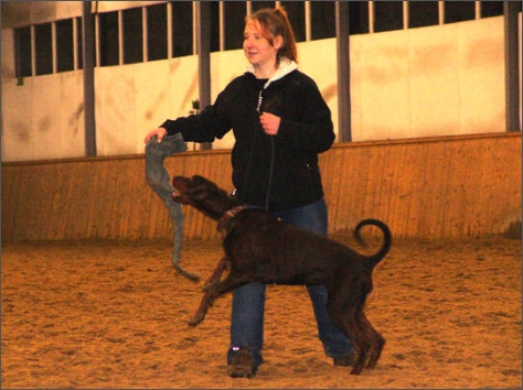 Training in Finland 1/2008