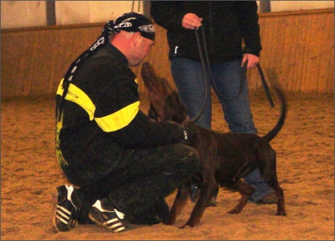 Training in Finland 1/2008