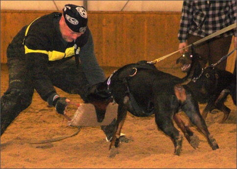 Training in Finland 1/2008