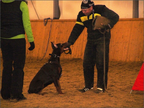 Training in Finland 1/2008