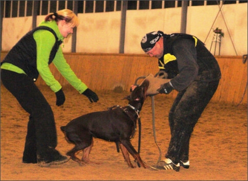 Training in Finland 1/2008