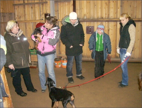 Training in Finland 1/2008