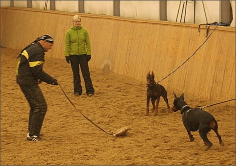 Training in Finland 1/2008