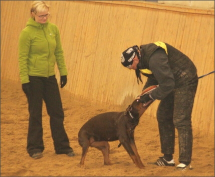 Training in Finland 1/2008