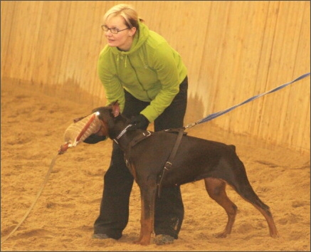 Training in Finland 1/2008