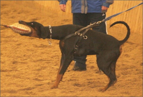 Training in Finland 1/2008