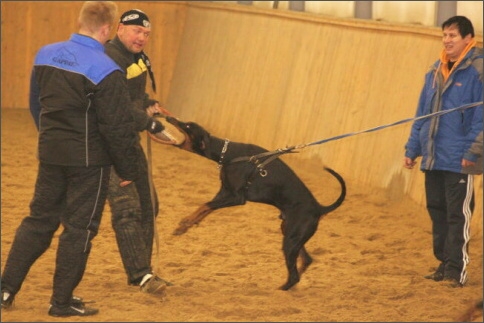 Training in Finland 1/2008