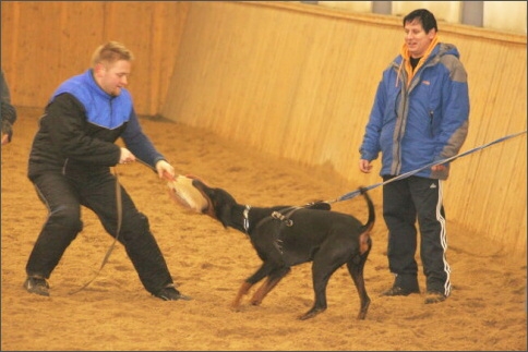 Training in Finland 1/2008